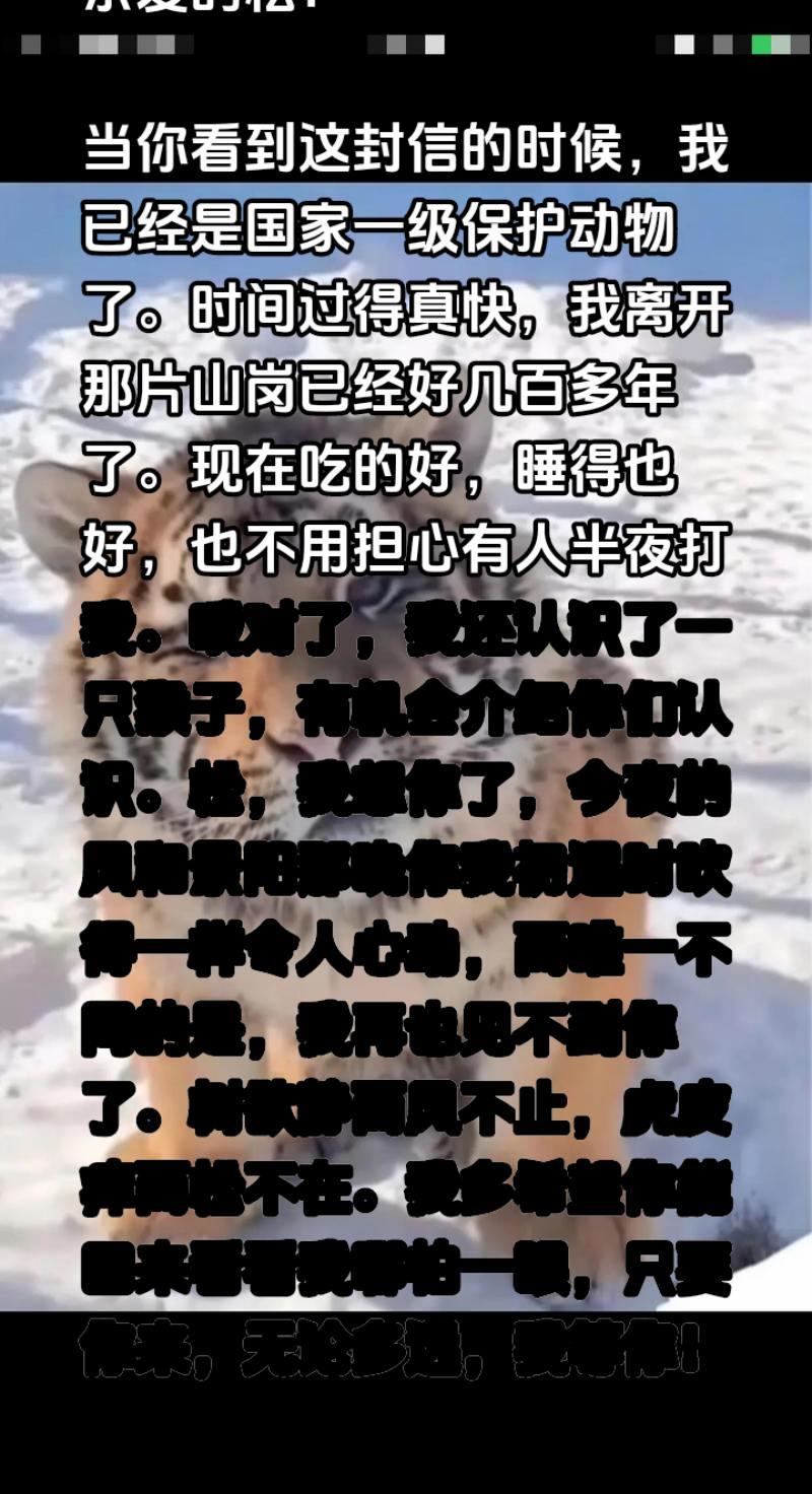 虎写给武松的信。