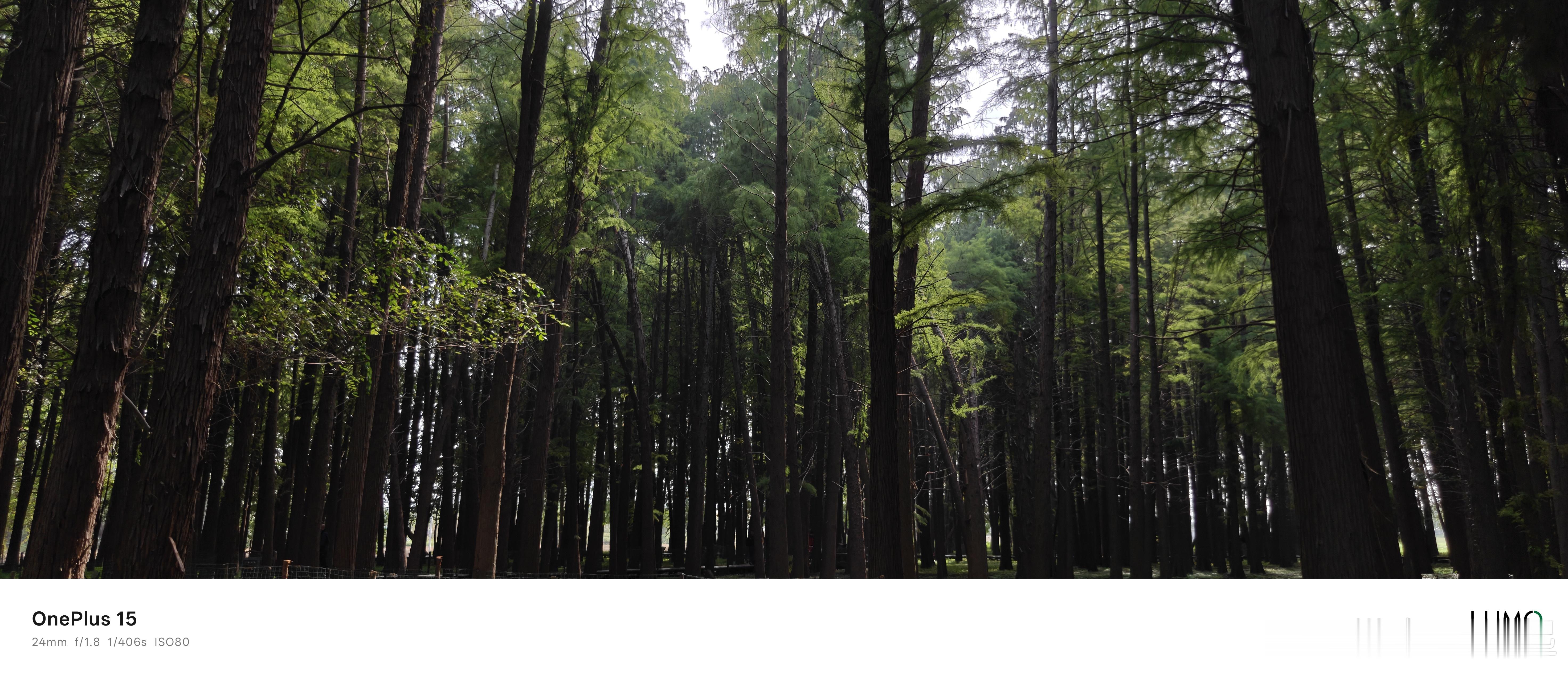 没想到在主城区还有一处池衫秘境，带着一加15来独享周末的幽静[酷] ​​​