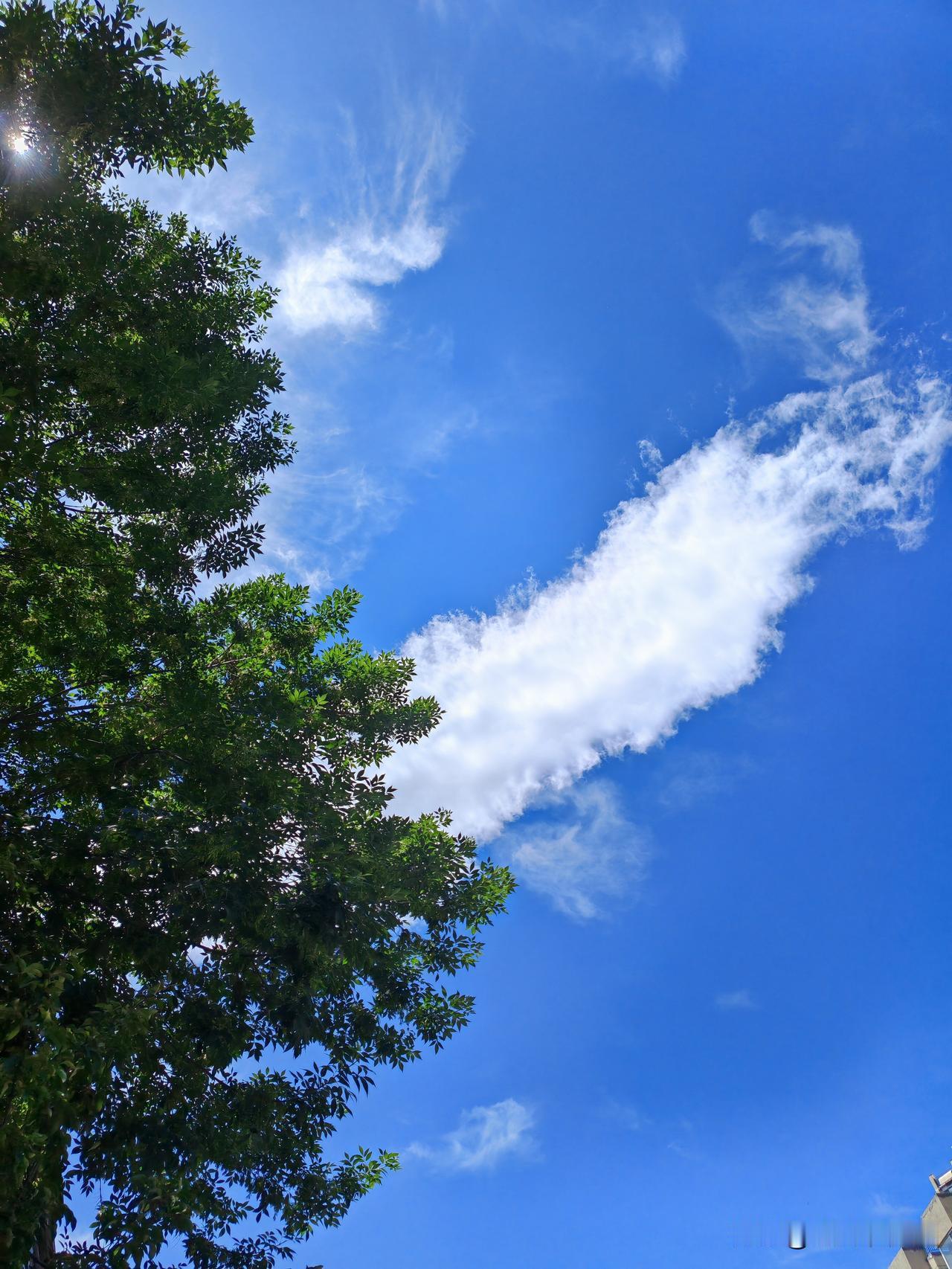昨天的北京
天空碧蓝碧蓝
有如草原或者海边
在雾霾闻名的北京
太难以想象
想到一
