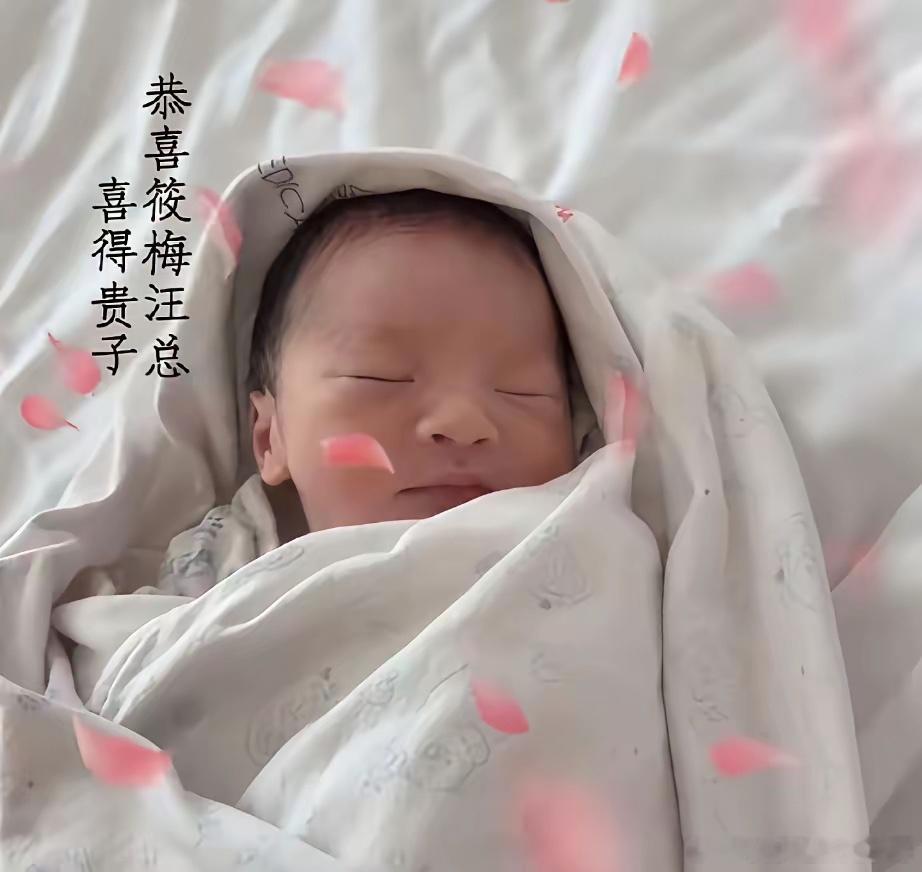 汪小菲又喜得贵子，真是可喜可贺。当初大S曾叫汪小菲做结扎手术，幸亏被张兰及时拦住