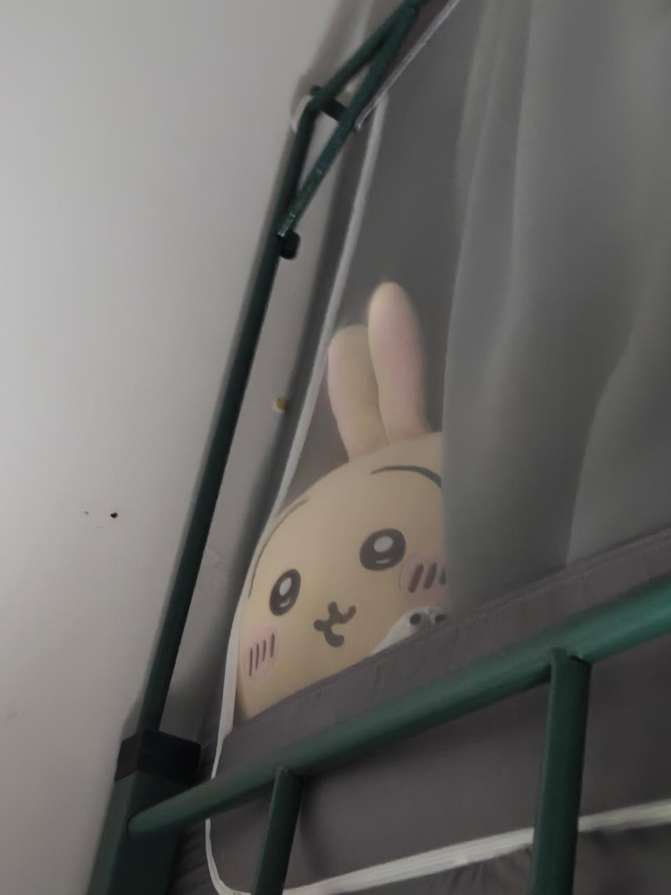 焦急等待兔妈上床的萨奇 ​​​