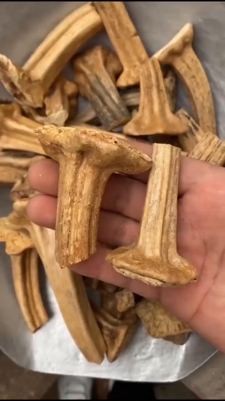 ·这是什么宝贝？这是天然牛黄，就是牛体内胆汁代谢异常后形成的结石，大约1800元