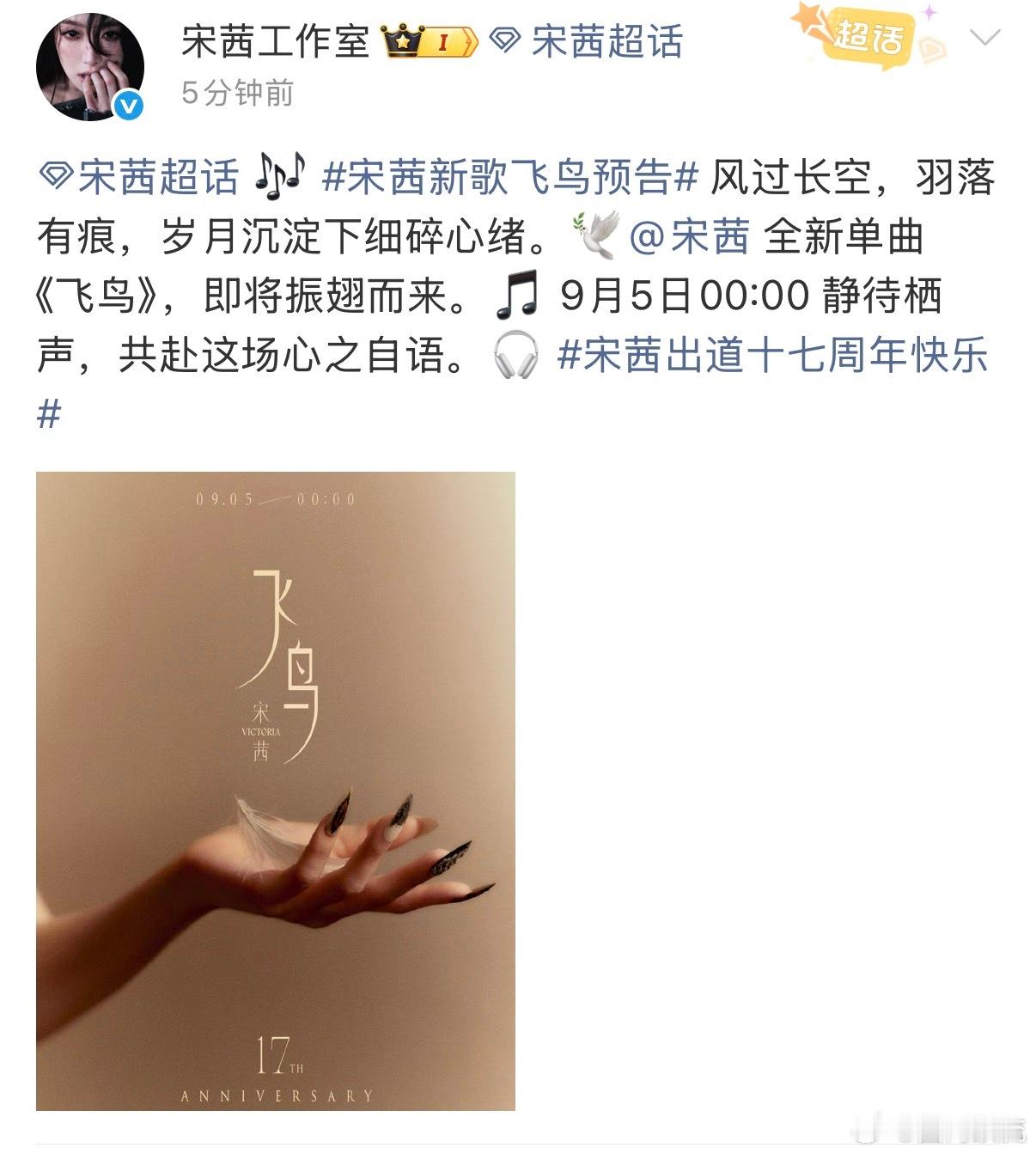 宋茜出道十七周年单曲来了，期待《飞鸟》宋茜出道十七周年新歌宋茜出道十七周年单曲 