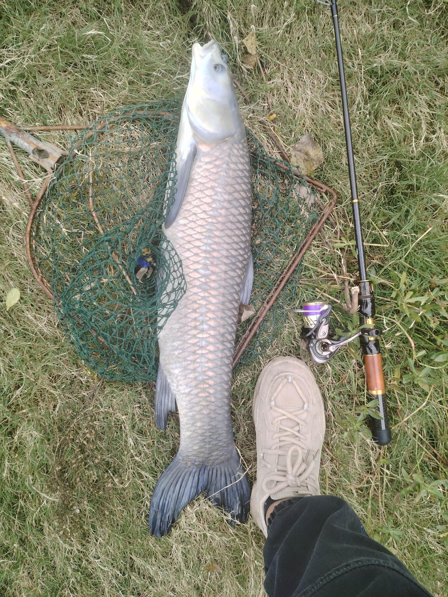 伸缩路亚竿有没有强度和感度？你敢信？这两张图是两位钓友用同款根伸缩竿...