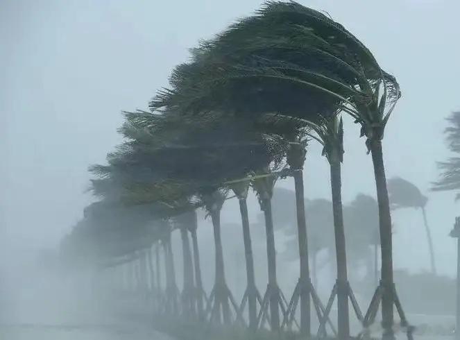 台风你们都有影响吗？希望红霞这次也能跟巴威一样，雷声大，雨点小，少点破坏，多点温
