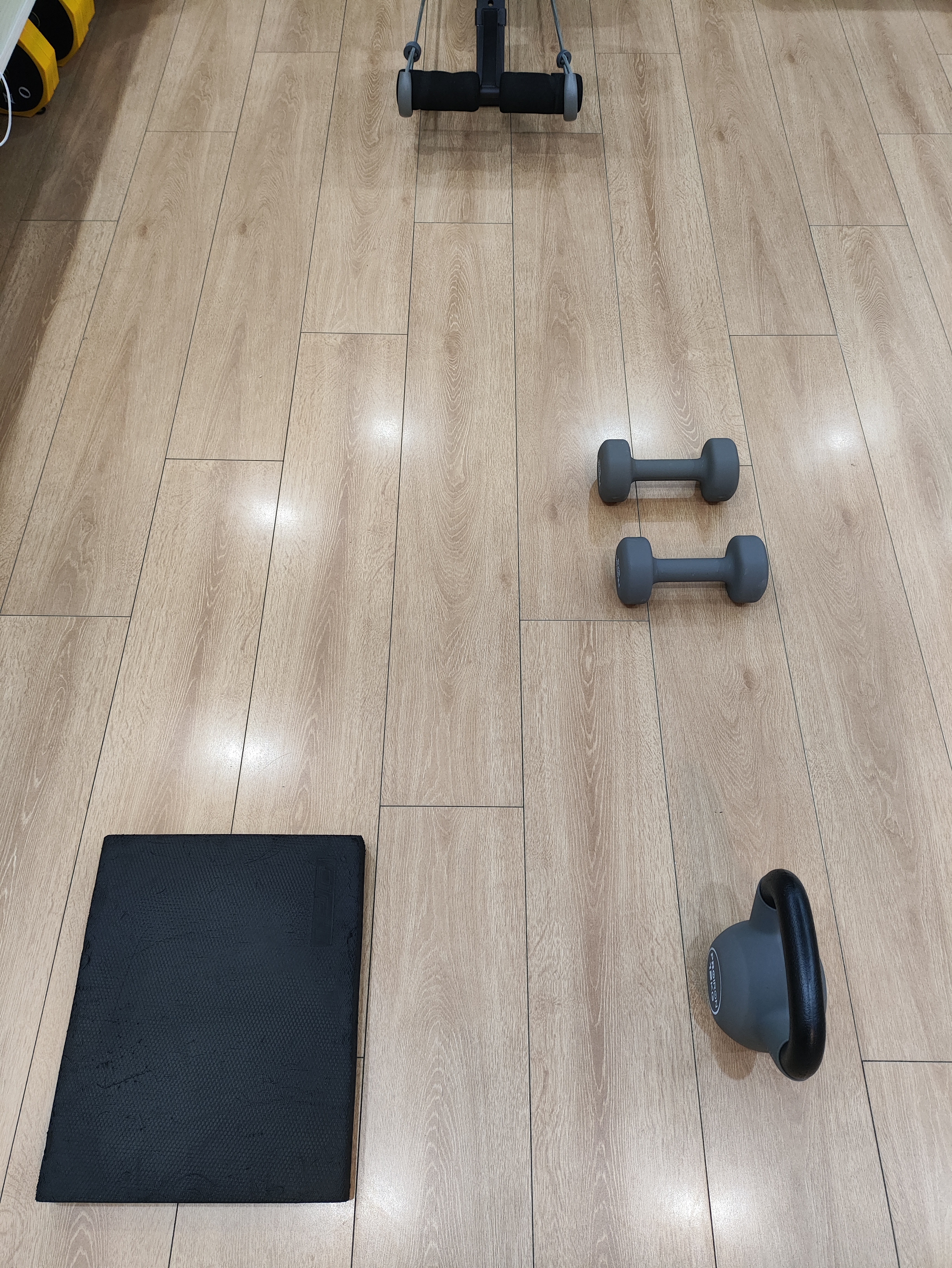 5+5公斤哑铃弯举5组105，哑铃凳弹力绳蹬腿左右各3组63，12公斤壶铃深蹲2