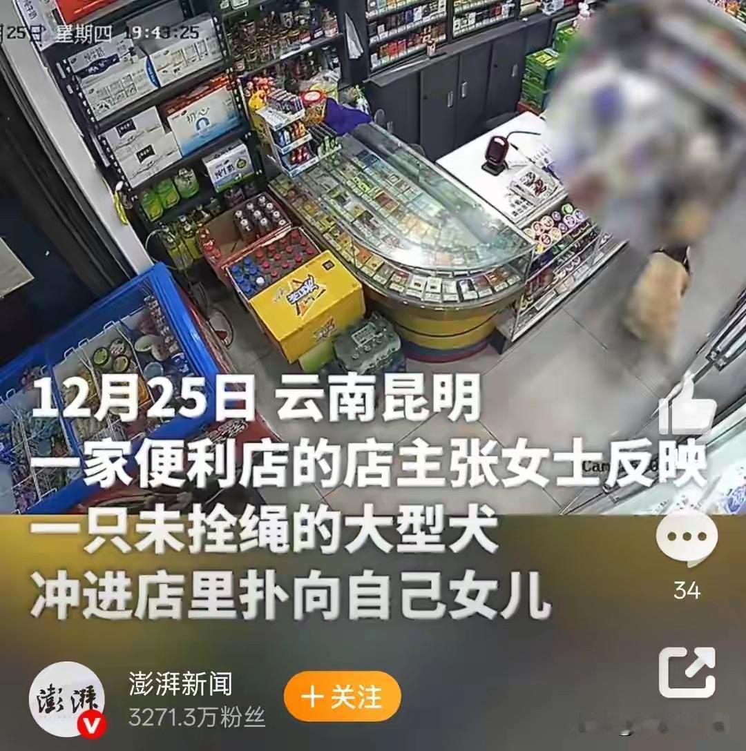 12月25日下午，昆明一家社区便利店，监控镜头拍下揪心一幕，一只没拴绳的大型犬突