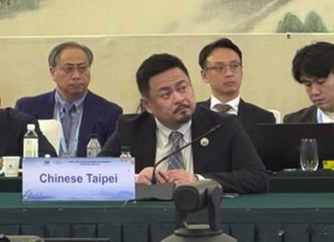 民进党布局选举 操作大陆举办的国际会议
 

民进党当局借大陆举办的APEC人力