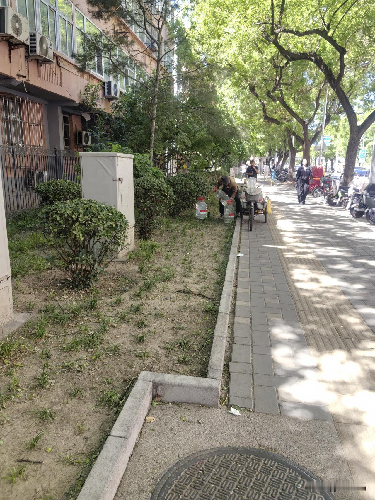 大爷可不是一般人
今接闺女在阜成门老万通那，快四车总站斜对面经过，往南营房那巷子