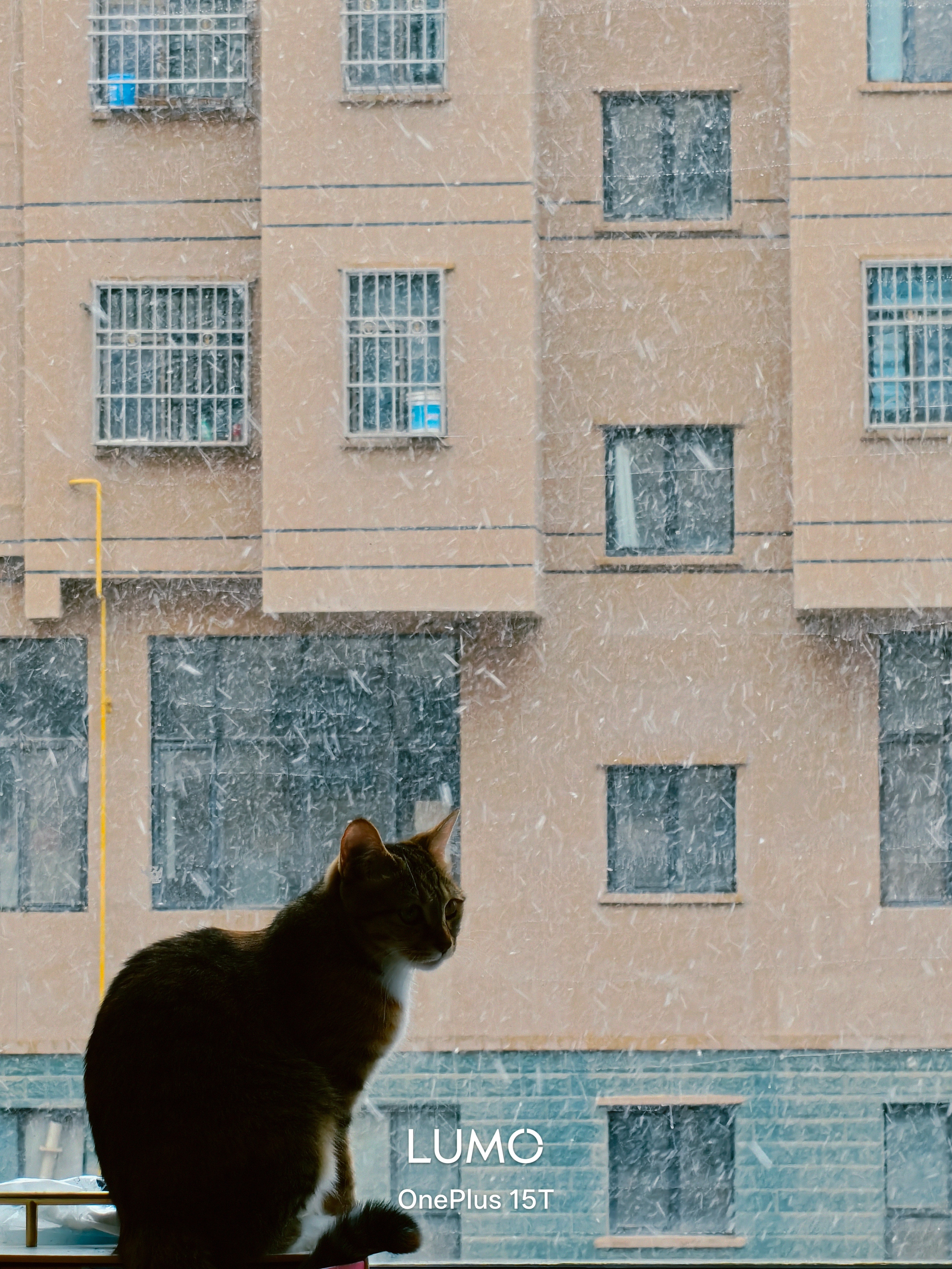 窗外下着大雪穿着大羽绒服明天再苟一天就要去云南了冰火冰三重天🥶🥵 张掖