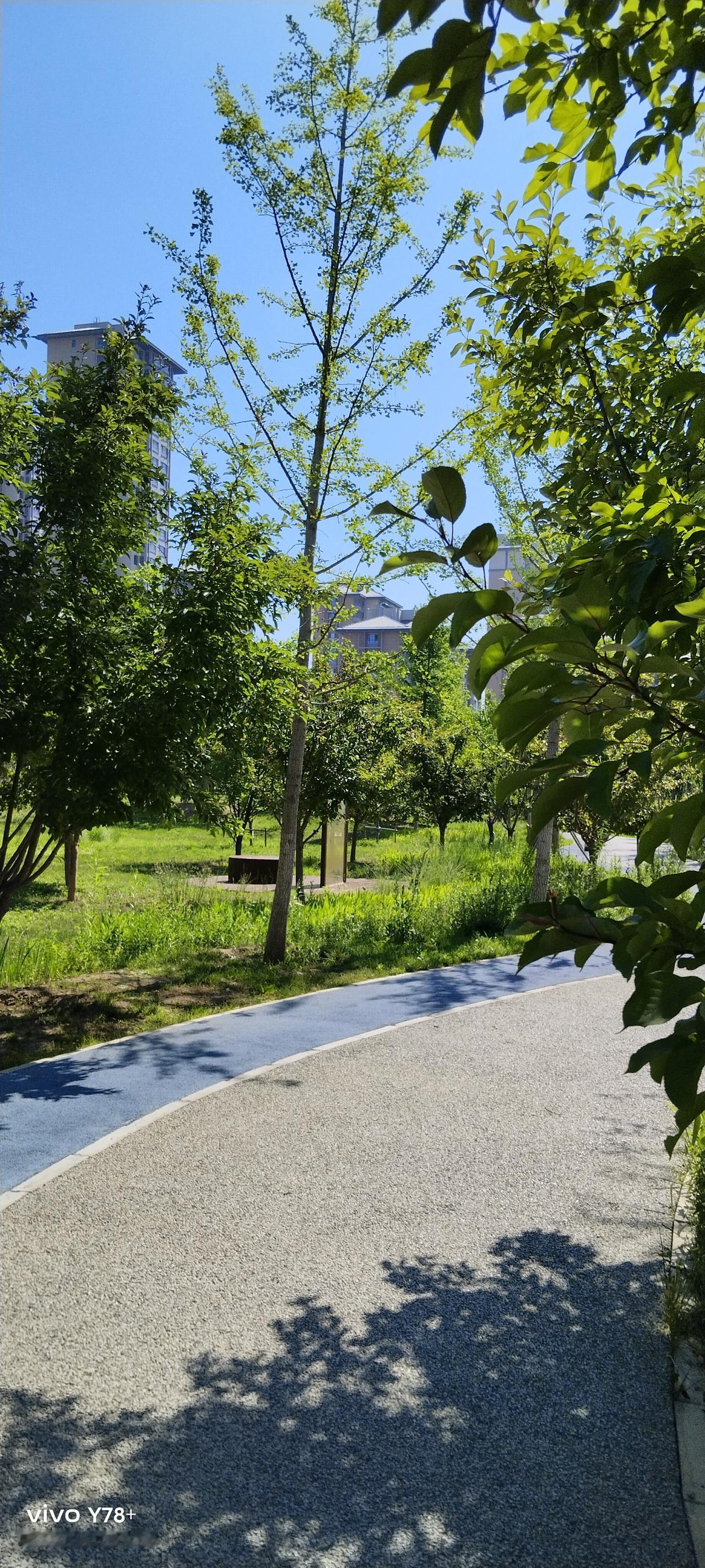 乡镇卫生院重公卫轻医疗，导致了乡镇卫生院发不出工资，留不住人才的困境，如此这般，