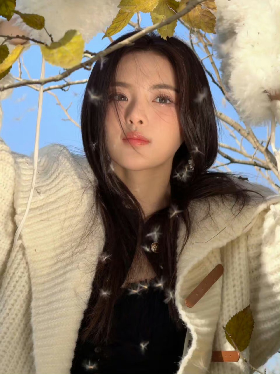 #杨超越[超话]#ycy#杨超越超机智青年大会# ycy#杨超越如果奔跑是我的宿