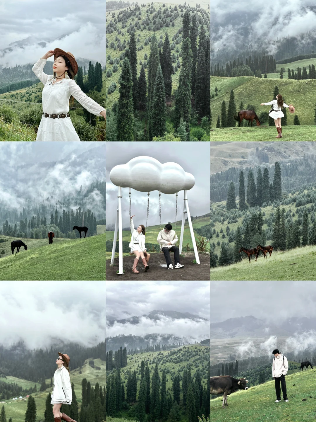 伊犁🌲| 怎么你的恰西我的恰西好像不一样…