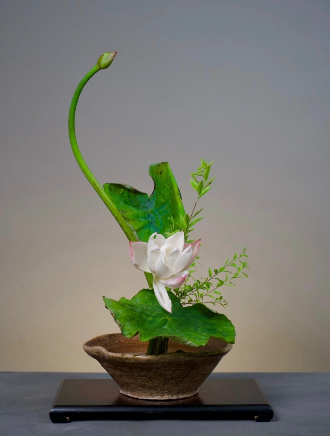 “ 一花一世界 … ” 
