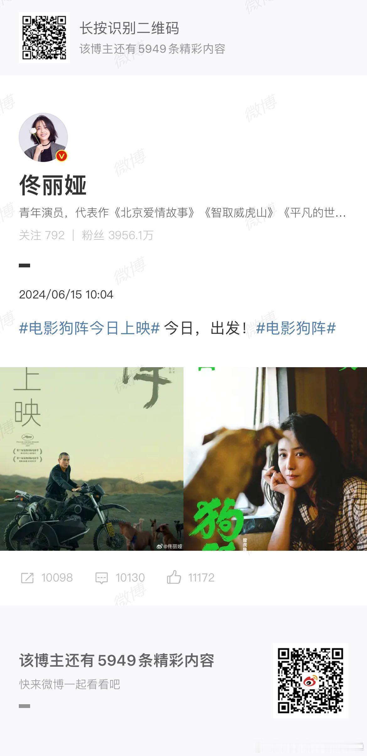 #佟丽娅官宣一部上映一部# 佟丽娅真的太厉害了，《狗阵》里展现出的演技令人折服，