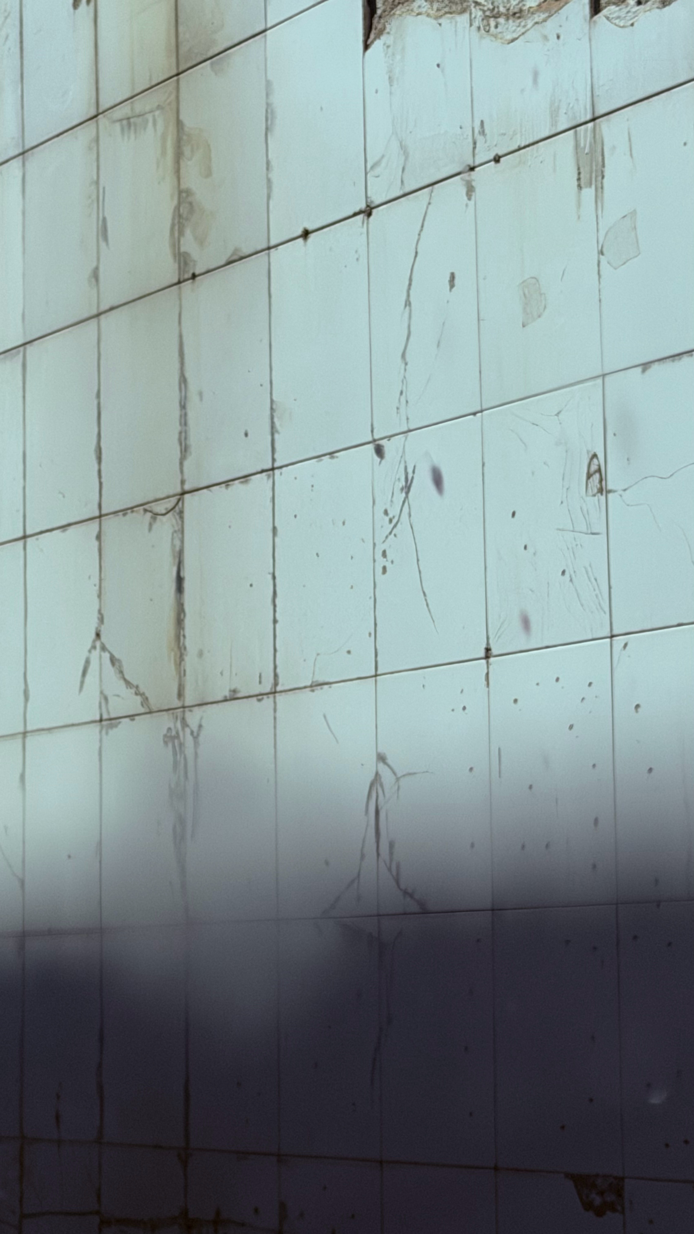 北京杨柳絮飘起来了 这玩意儿又飘起来了，能一直烦人到5月底。怕过敏的，上午10点