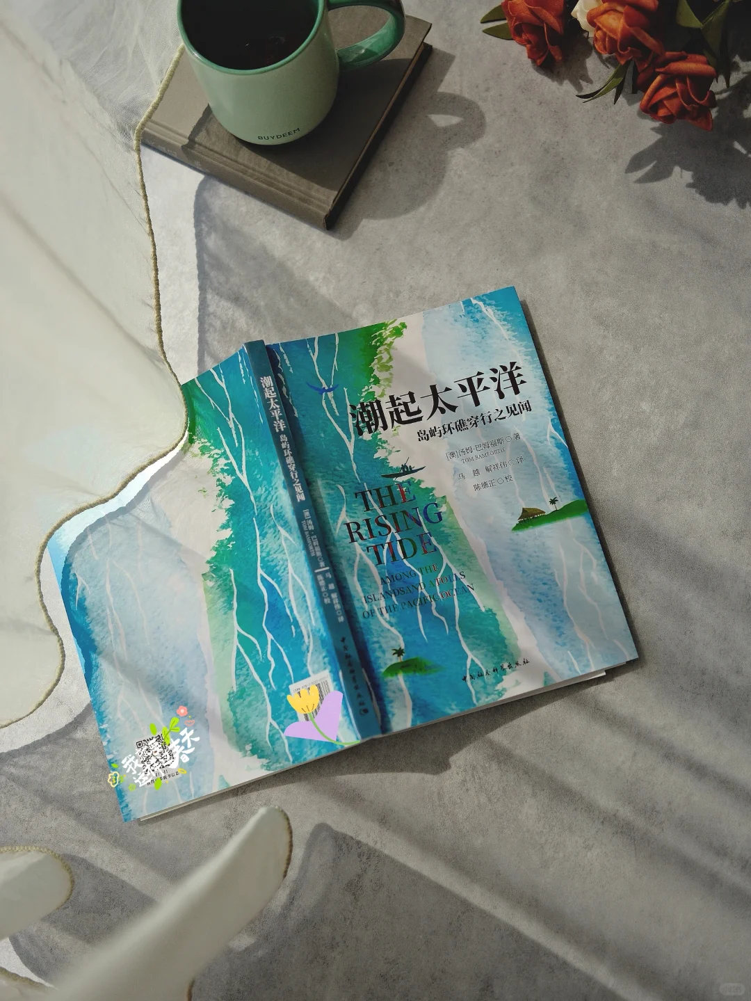 深度游记，带你了解南太平洋中的众多小国
