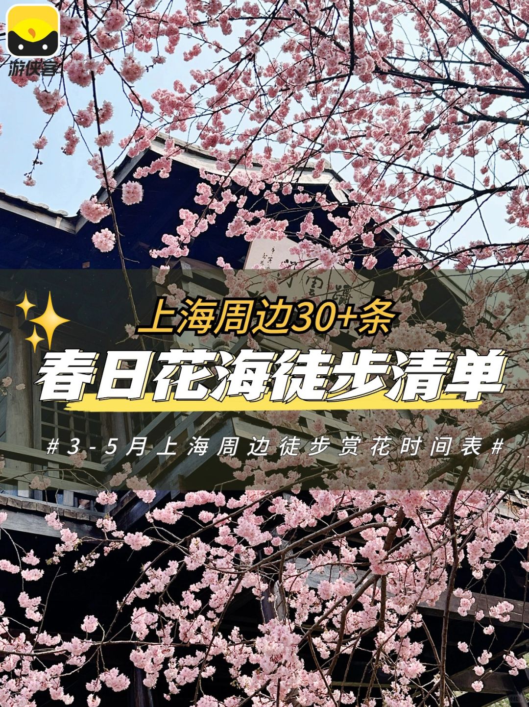 赏花啦！上海周边30+条春日花海徒步清单🌸