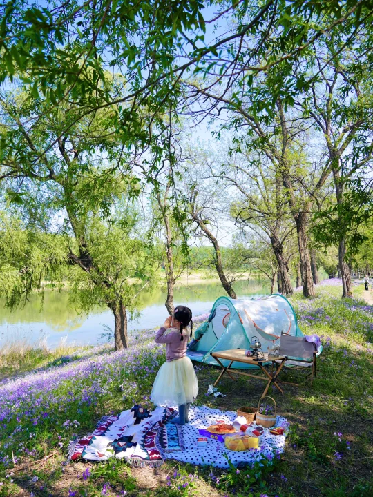 北京温榆河人少景美❗️露营赏花免费遛娃❗️