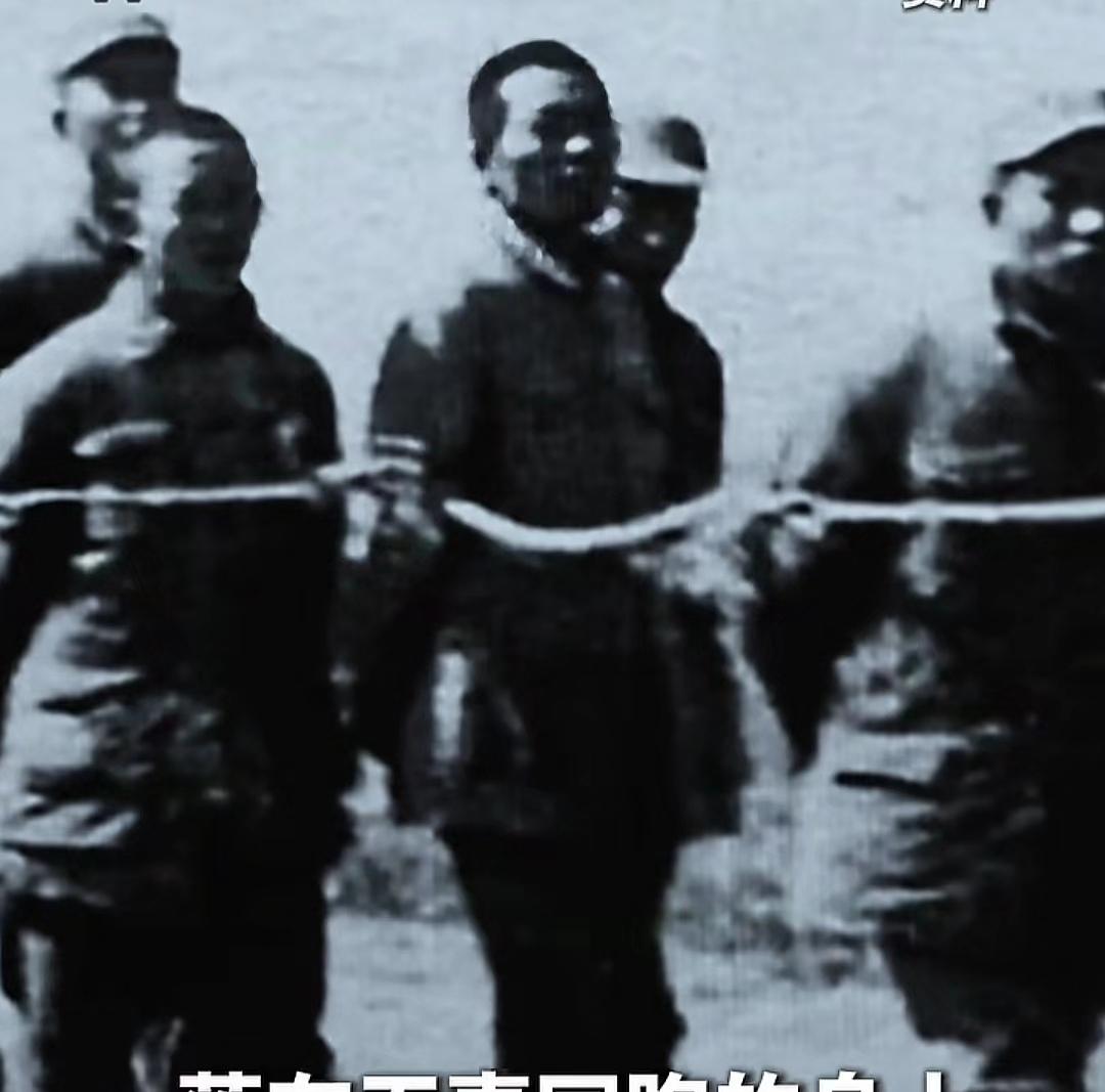 进城的那一天，日本人到外杀人放火，
那一天被打死的人横尸满街，无人敢收尸，
日本