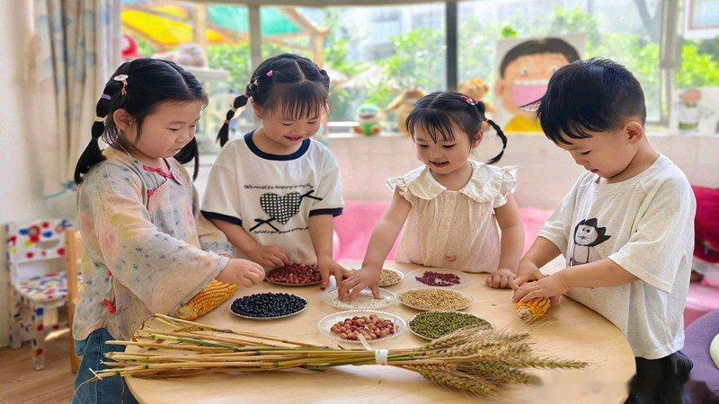 房县校园 房县幼儿园：童趣探芒种 劳动润童心十堰爆料房县校园 房县新闻网讯 通讯
