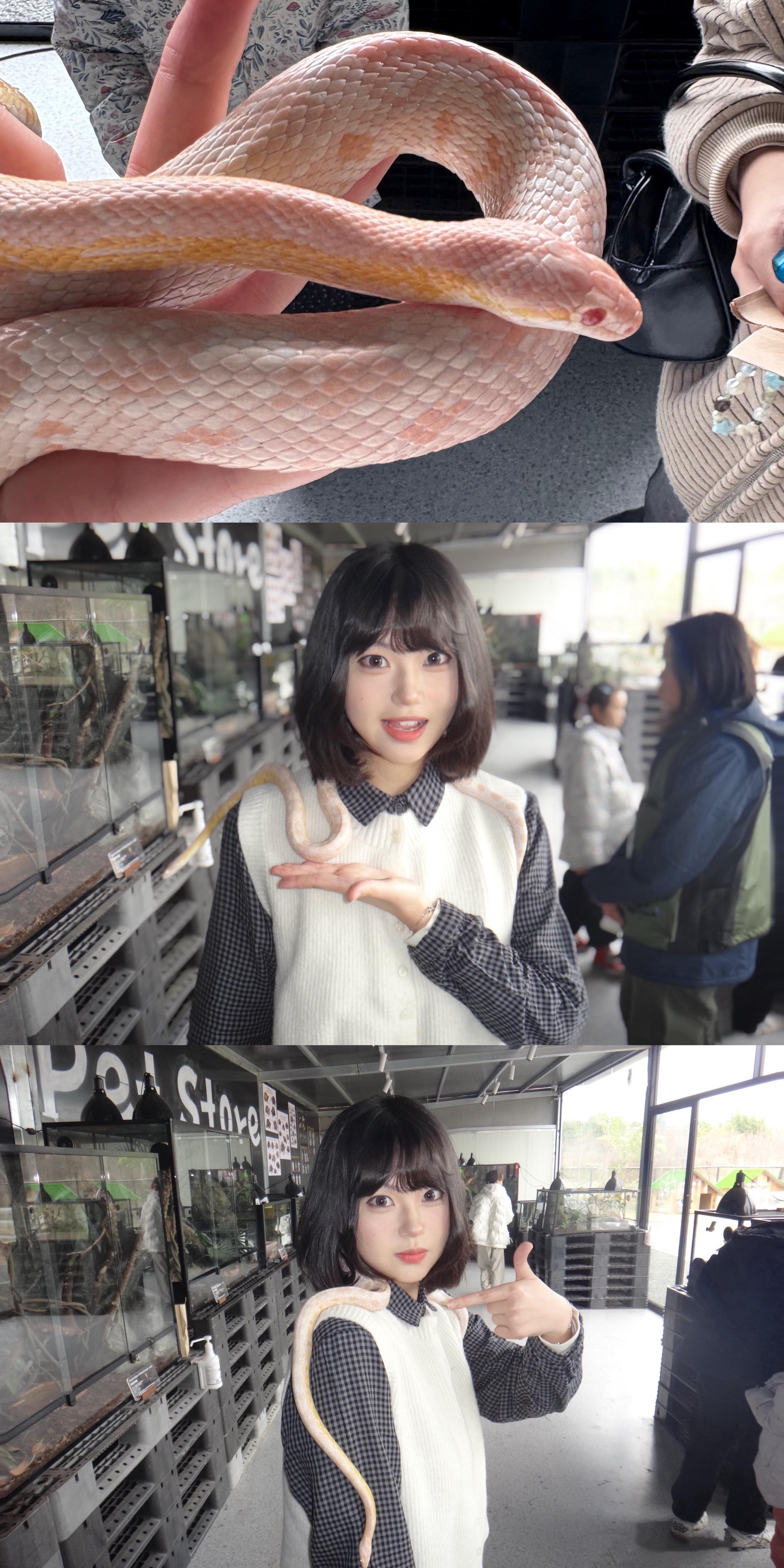 动物园里有森莫。