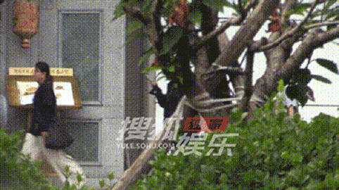 杨幂不是工作就是健身杨幂自律姐【自律典范】杨幂把健身当日常太圈粉了！拍夜戏后还要