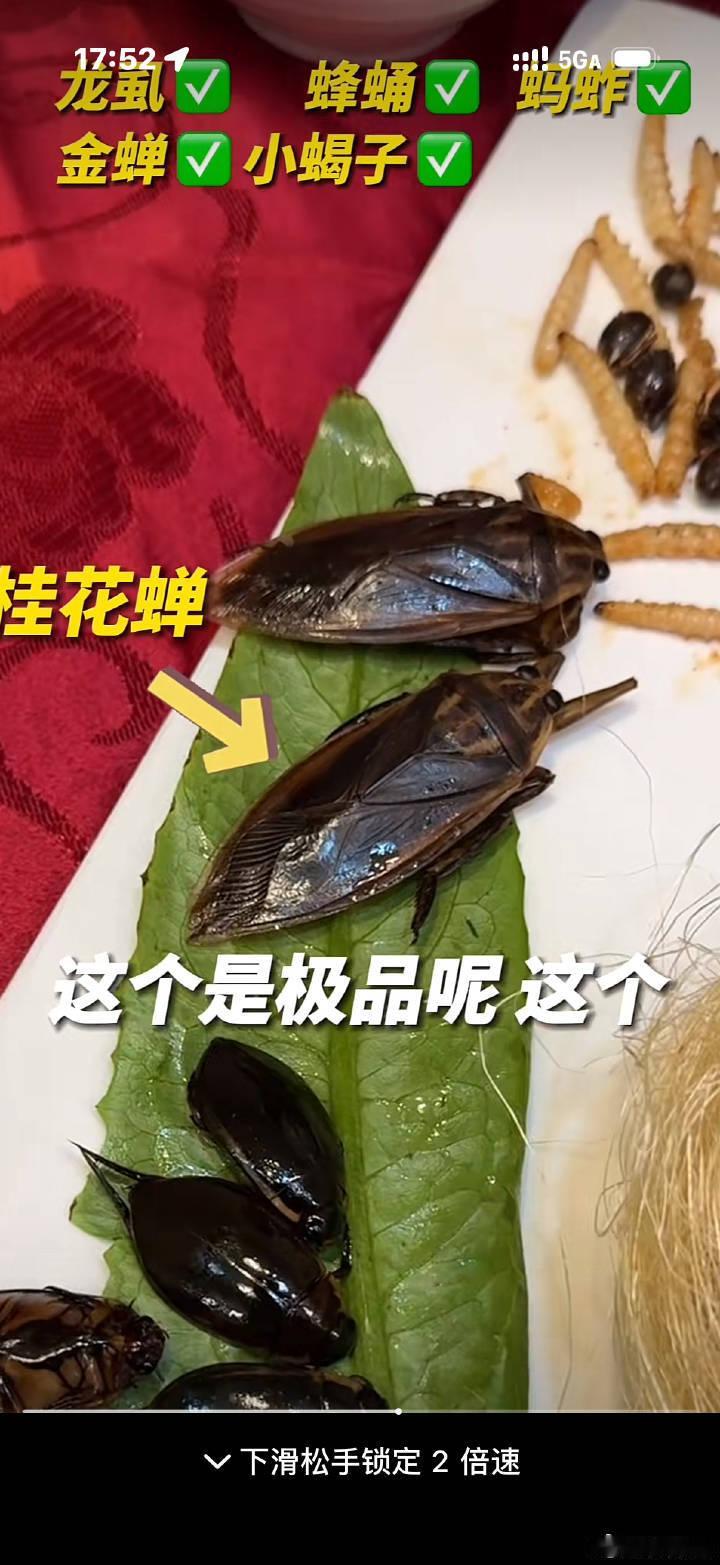 他们说……来广州要吃这个👇👇👇广州的朋友，你们挺狠吖！！！ 广州