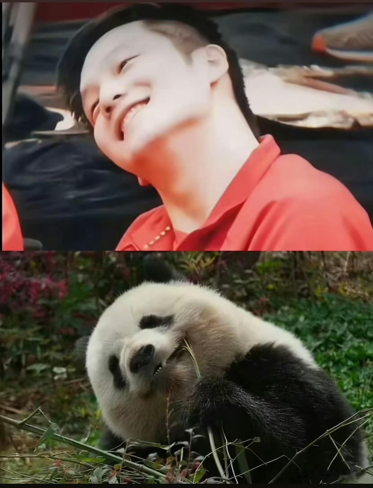 给樊振东起“暴力熊猫”这个外号的人真的是天才。场上场下的反差感在他身上体现得淋漓