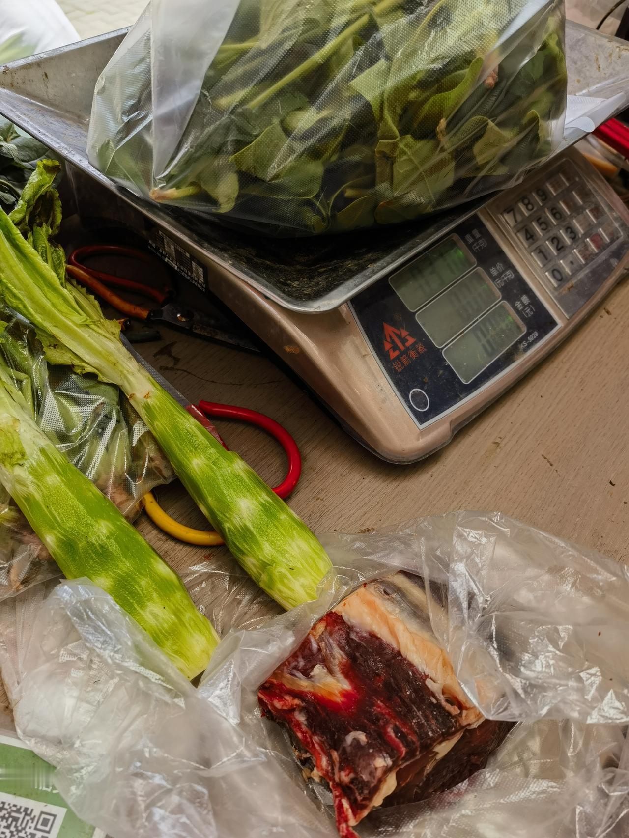 一个人独处的最高境界是什么中午做饭真辛苦啊，莴笋炒牛肉+青菜，平时都是去餐厅吃自
