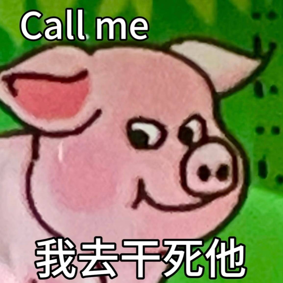 小猪母三天新音名声打出去