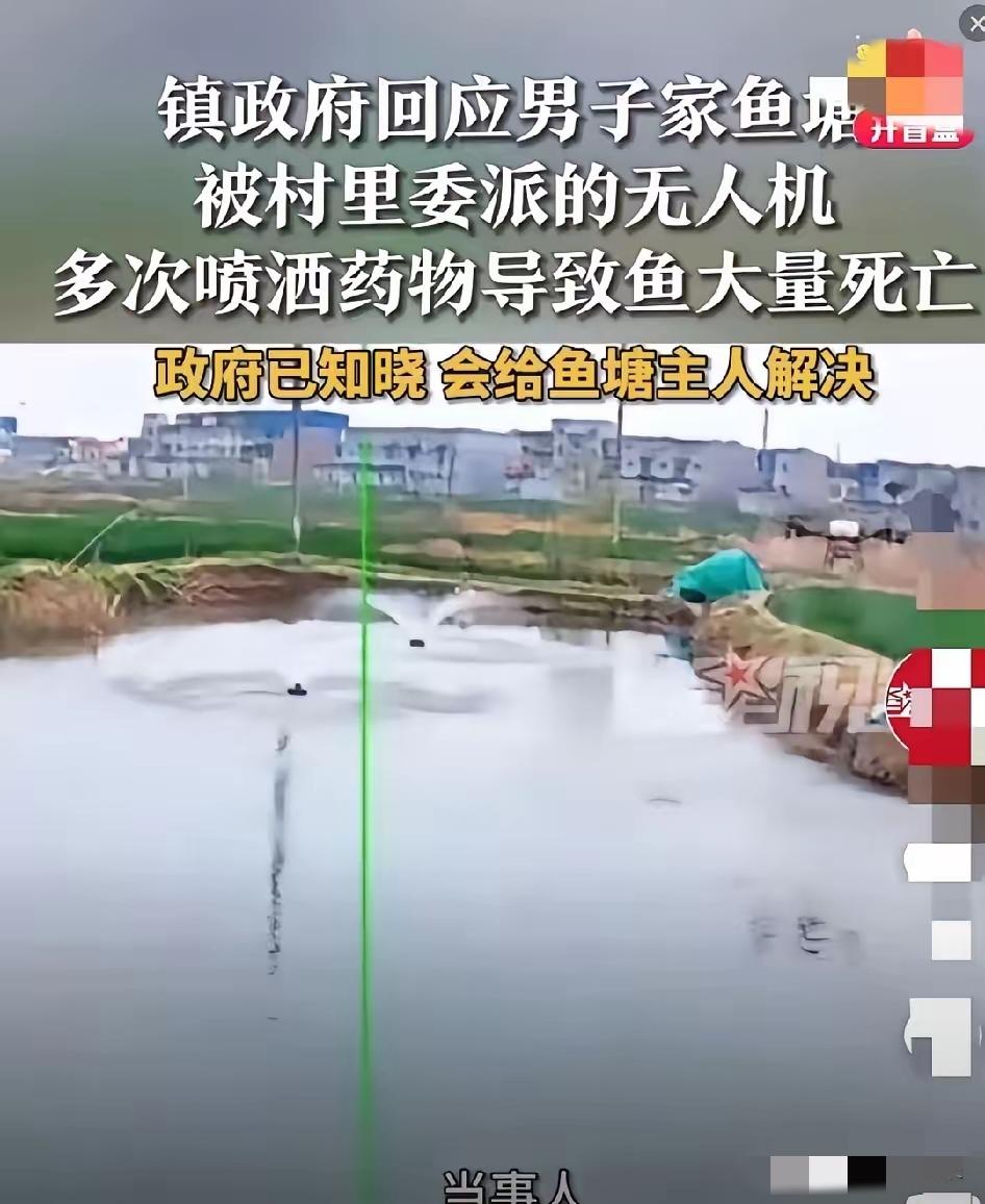 真是越来越离谱！无人机植保乱象愈演愈烈，刚曝出喷药毒死蜜蜂，

如今竟直接往鱼塘