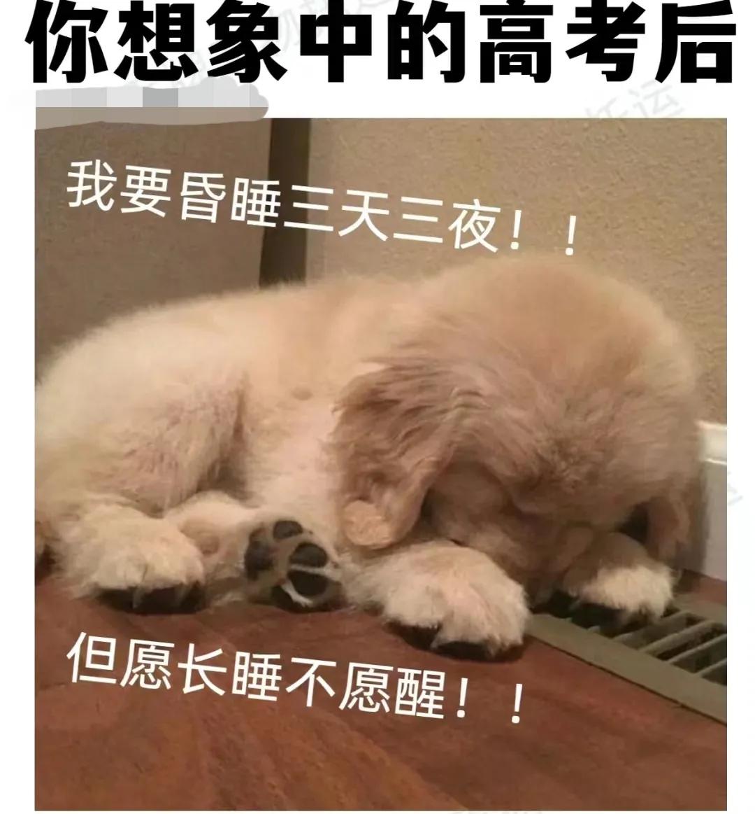 高考终于结束了！

陪儿子考试三天，心情跟着坐了三天的过山车，那叫一个跌宕起伏！