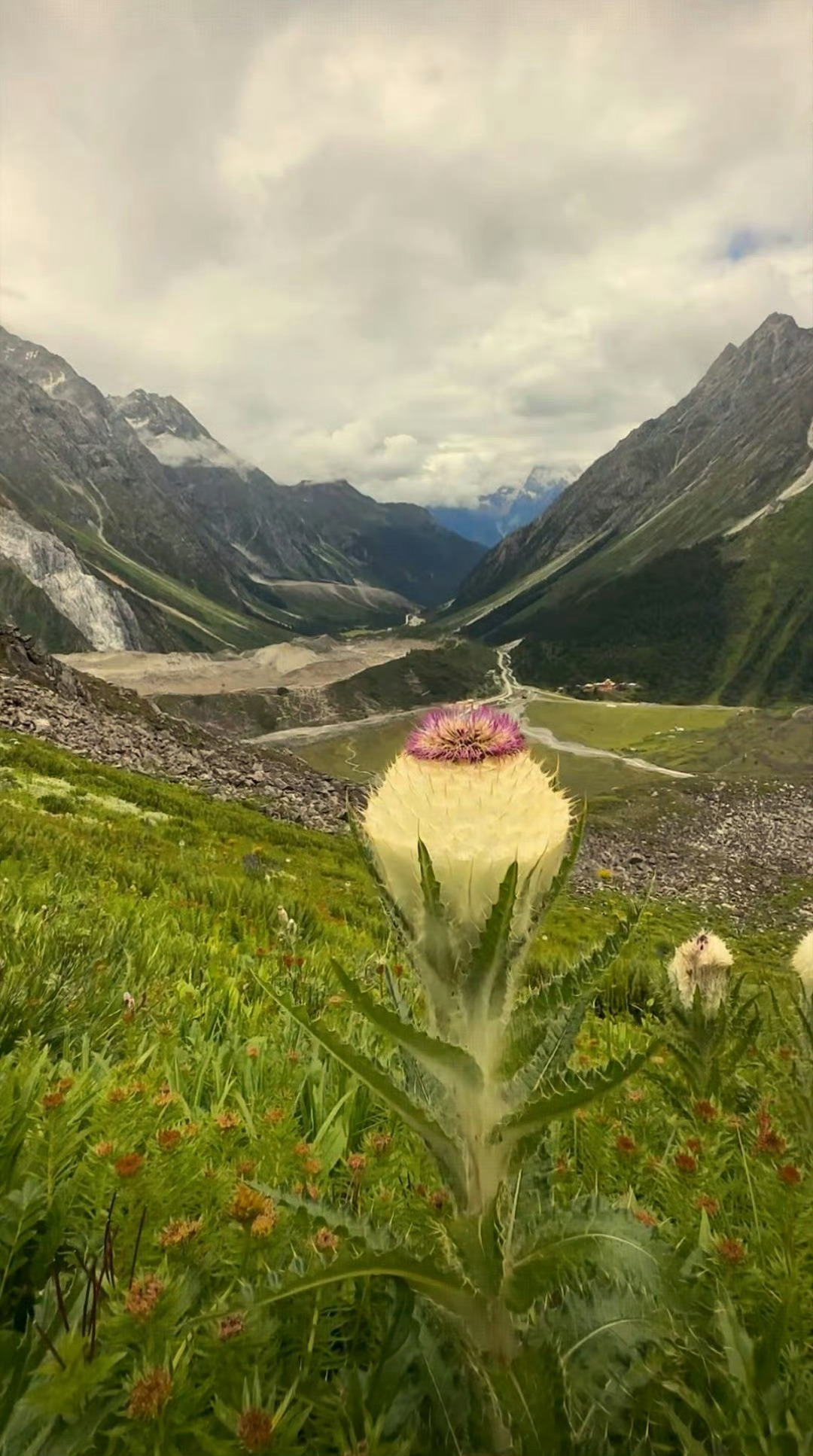 愚蠢的人一旦无事可做，就百般无聊。做一个闲人，需要多才多艺而且修养极高。——毛姆