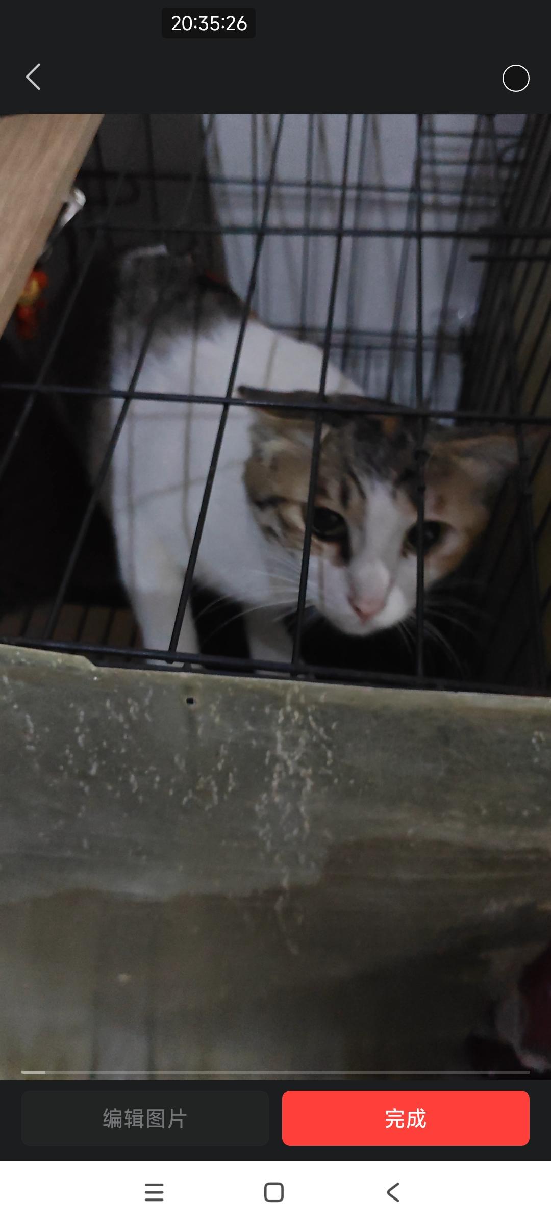 目前，销量突破百万的折叠手机共有四款！

全部都是华为的，大折叠小折叠阔折叠三折