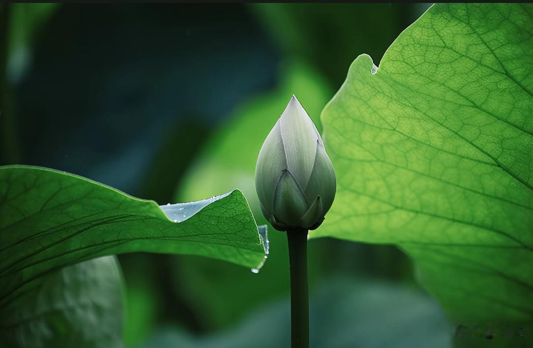 一程相逢，半生惦念
 
曾经年少赤诚，爱得坦荡又热烈。
 
我怀揣满心温柔，带着