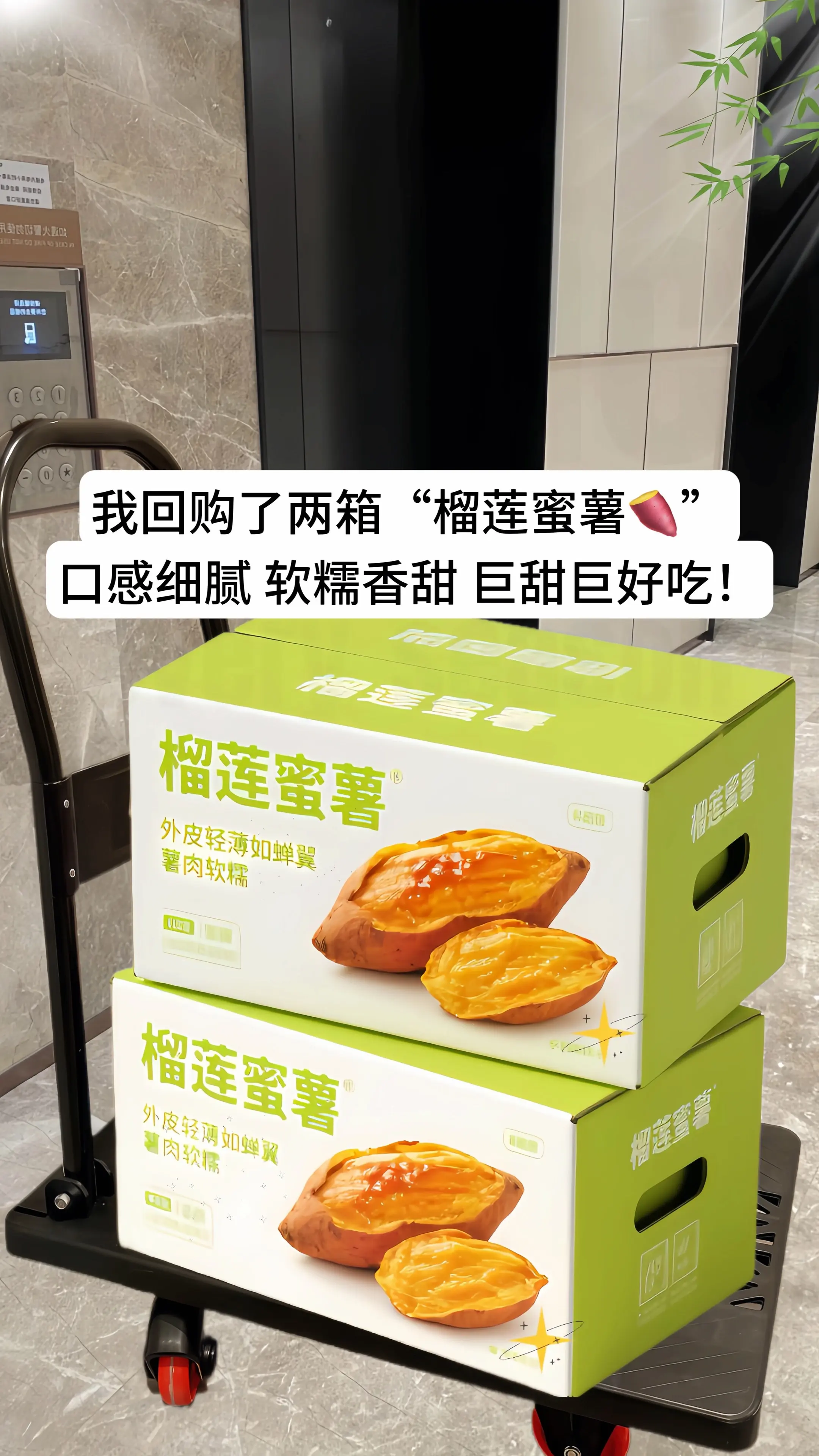 来自广西的榴莲蜜薯真的像榴莲一样的口感，你吃过吗？爱蜜薯的看过来，这个...