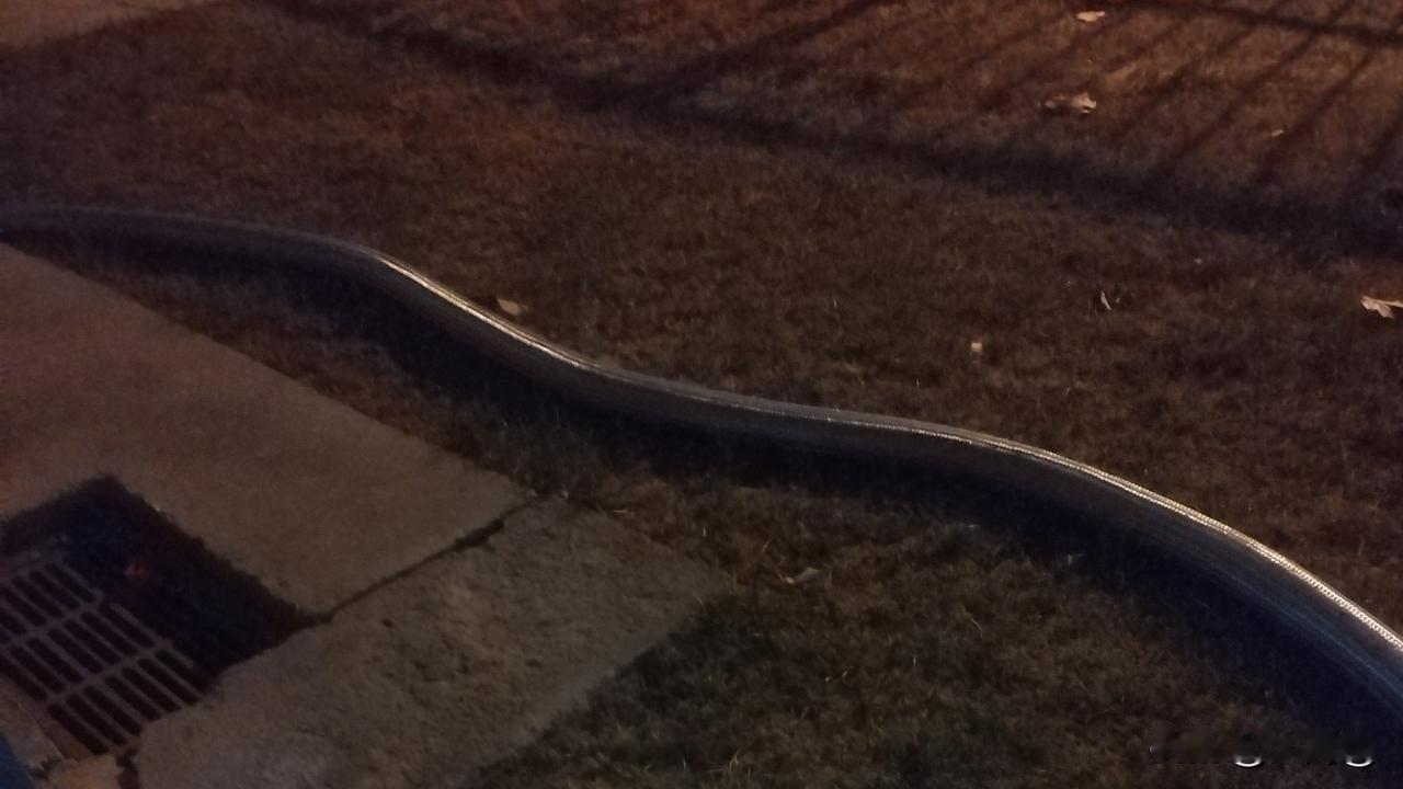 大半夜的，吓吾一跳，差点没踩到[震惊]