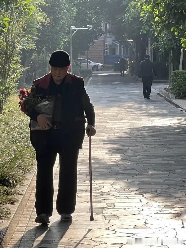 七律，暮年续《感怀》
历尽沧桑鬓覆霜，
浮名俗利尽相忘。
闲伴清风观落日，
安随