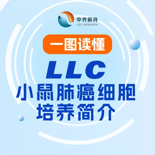 带你LLC细胞培养简介~