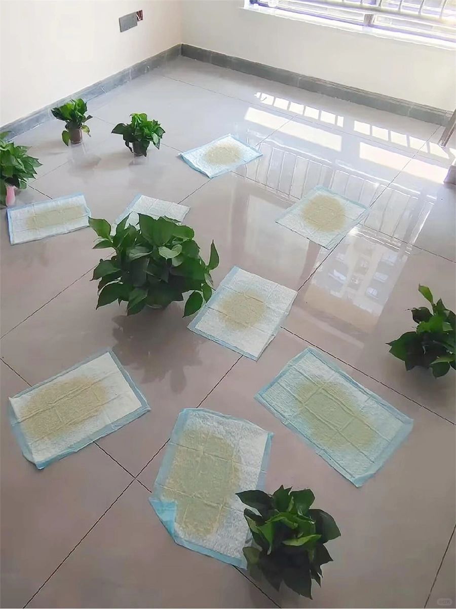 能劝1个是1个，冬天除甲醛越简单入住越早！