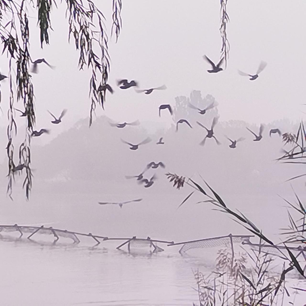 奥森的早晨