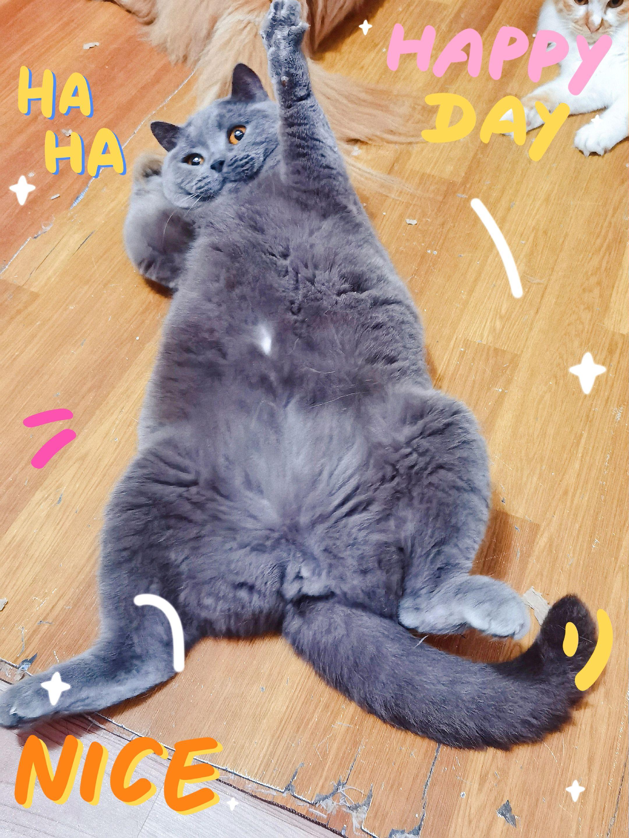 周末愉快