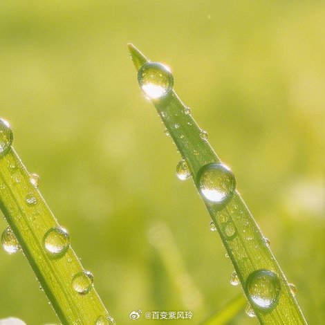 生活需要我们带着热爱去靠近、去发现、去经营。让我们用心感受生活的美妙，发现其中的
