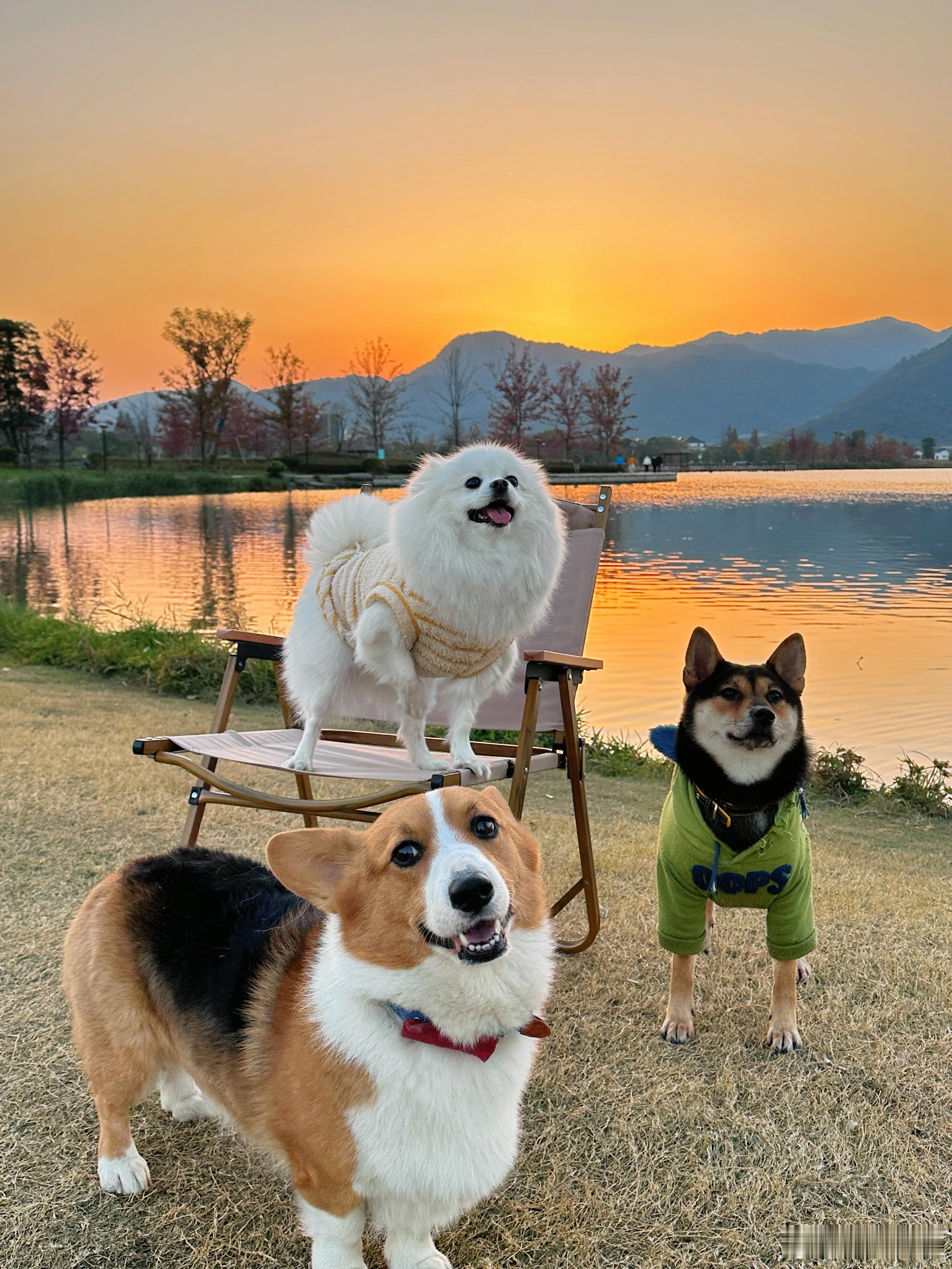 一点点夕阳美式🌇 