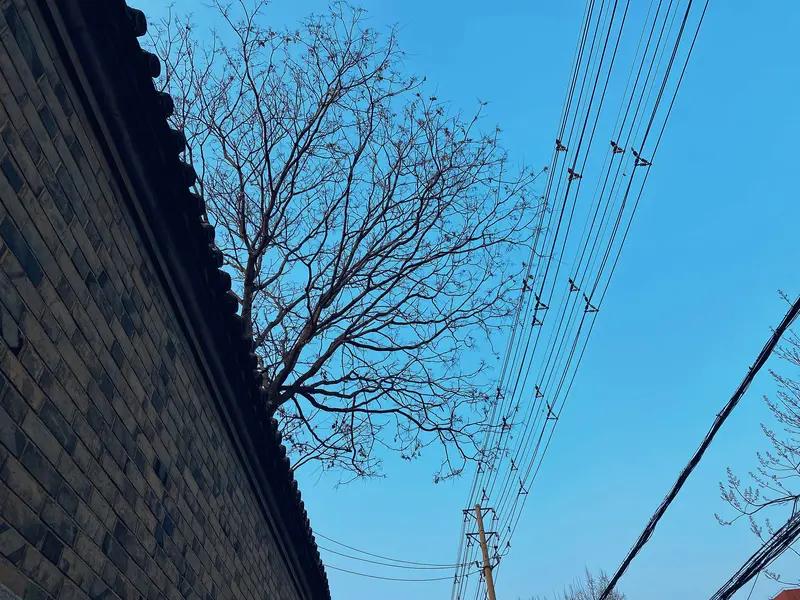 年轻的时候，我也觉得谈钱俗气，感情、理想才重要。可经历过缺钱的窘迫，才懂钱是面放