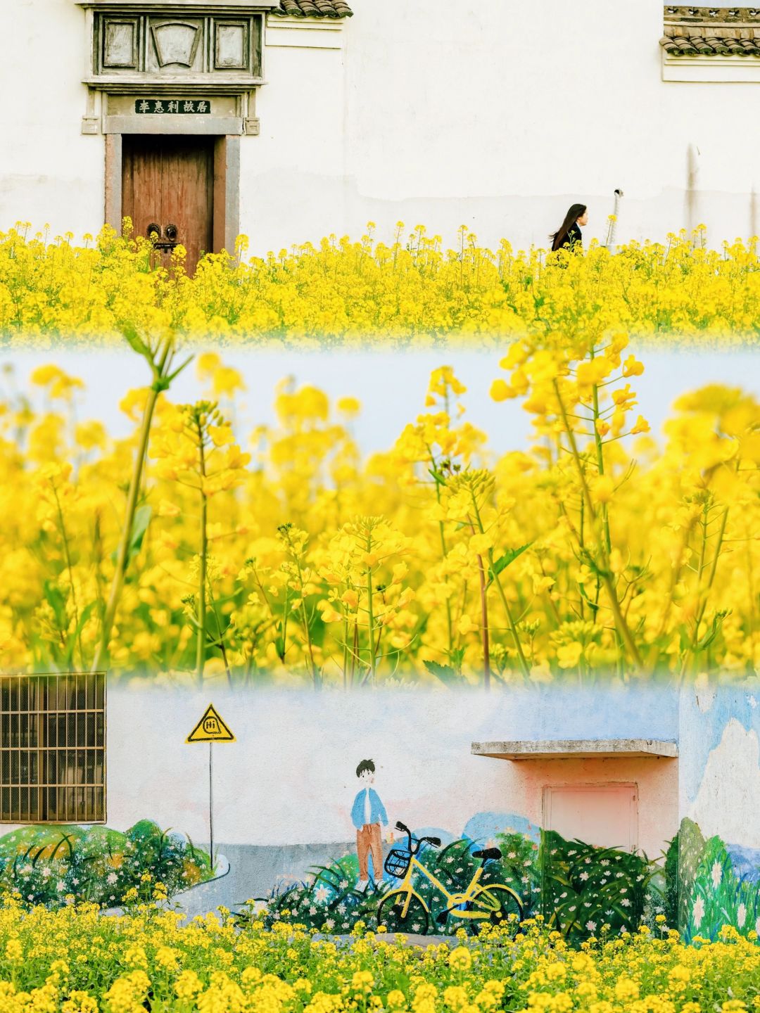 春日赏花｜城市里就能和油菜花拍美照啦！