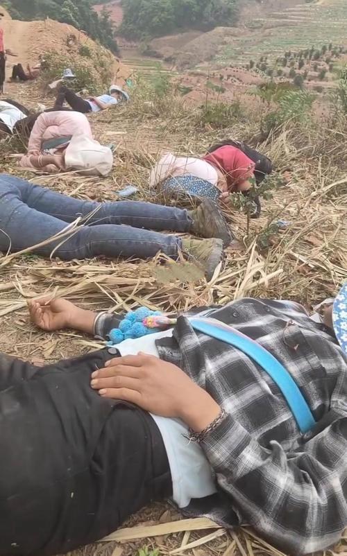 看到这样的画面，不由得想起了30年前，我带着两个儿子去下荡看望妻子挑河道累了后在