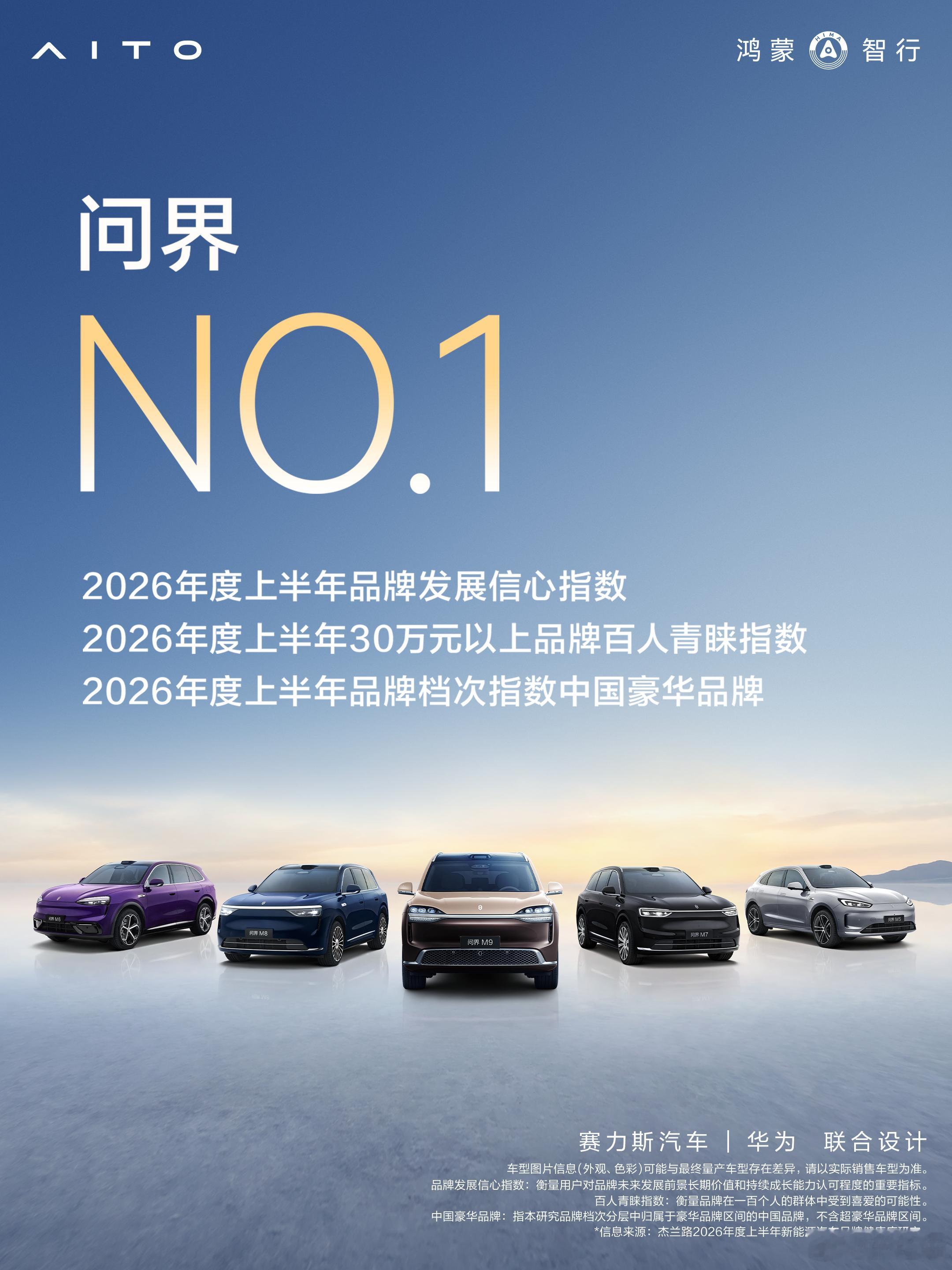 早上就说，NPS大家一定会宣传的，也是车企最重视的指标之一。 