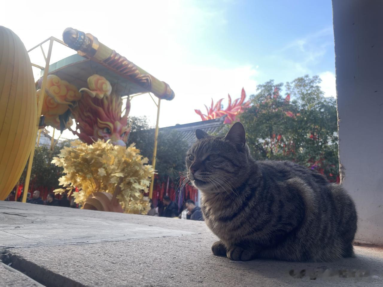 你只活一次
所以你还在怕什么
怕输怕没钱
还是怕你喜欢的人
不喜欢你
这个世界上